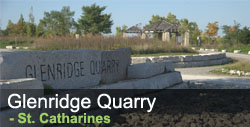 Glenridge Quarry Naturalization Site
