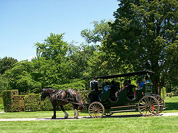 Carriage Ride
